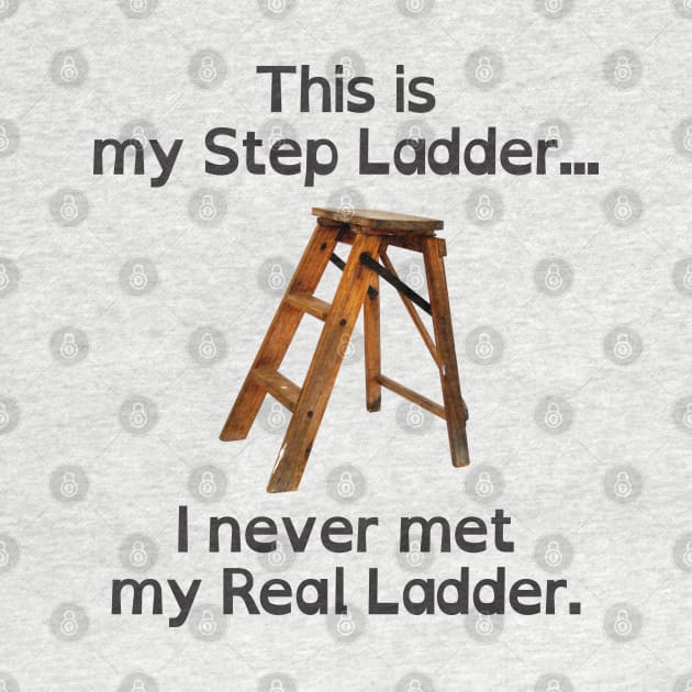 This is my Step Ladder by SaKaNa